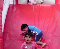 つる、ドン、ゴロ 2011/11/01 14:46:58