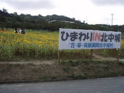 沖縄は夏なのね～