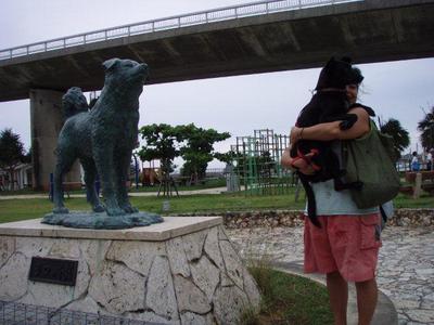 座間味から離島