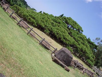 結局冷やかし