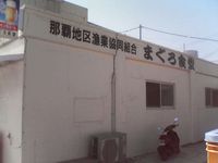 まぐろ食堂