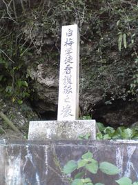 桜の見納め
