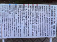 桜の見納め