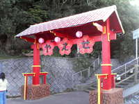 桜の見納め