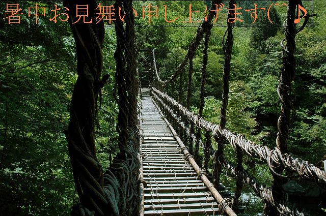 暑中見舞い