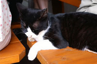新明石食堂 2008/01/23 00:39:16