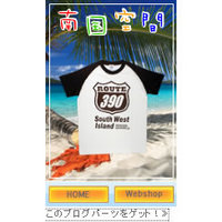 ブログパーツ 2009/04/01 20:47:01