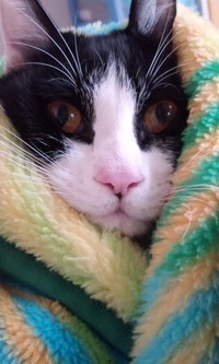 ＊寒い～＊ 2011/02/11 14:43:31