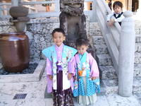 最近のできごと。 2008/12/03 17:41:47