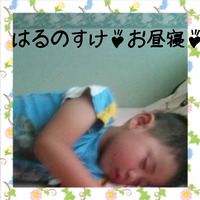 ＊お昼寝＊ 2012/05/27 00:28:46