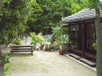 沖縄の風景・・・「備瀬のフクギ並木」