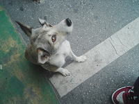 暑！！ 2006/05/17 18:22:00