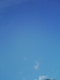 暑！熱！ 2006/06/20 16:31:00