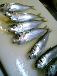 釣ったどぉぉぉおおぉぉ～