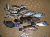 熱田で・・・ 2010/06/18 16:09:11