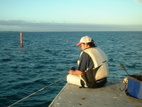 第15回fishing大会　（島に向って右防波堤班より） 2007/06/26 02:36:46