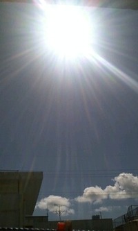 秋も深まる 2009/11/07 12:54:43