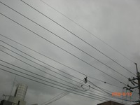 梅雨 2009/06/15 17:03:20
