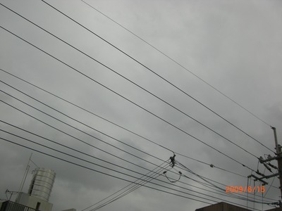 梅雨
