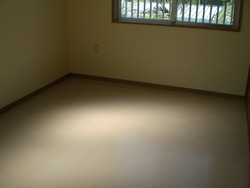 Huge Apt For Rent