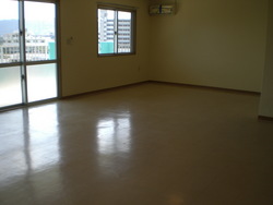 Huge Apt For Rent