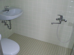 Huge Apt For Rent