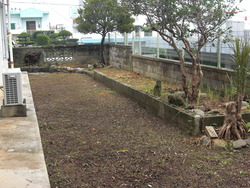 一戸建庭付賃貸