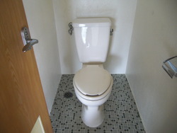 一戸建庭付賃貸