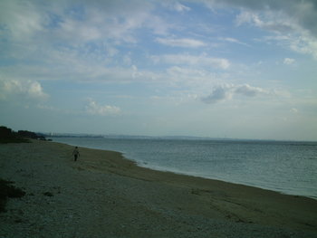 Seaside House