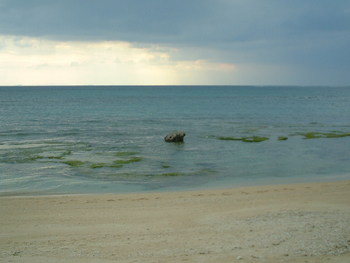 Seaside House