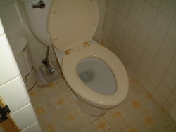 House for rent