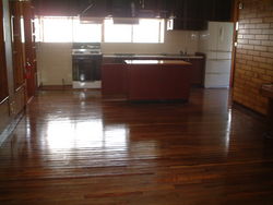 ☆Brand New APT＆House For Rent☆