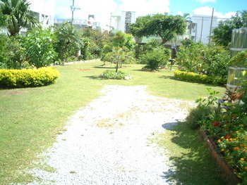 ☆Brand New APT＆House For Rent☆