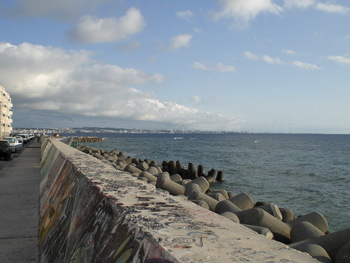 Seaside Life