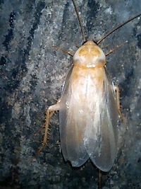 すごい・・・ 2009/12/05 19:17:37
