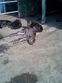 おめでと～ 2008/11/30 19:39:35