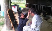 切っちゃった 2009/04/04 21:41:43