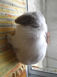 今日の…(笑) 2012/02/05 13:31:25