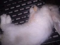色々。 2012/03/18 12:50:57