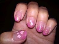 桜♪ 2012/03/03 01:54:16