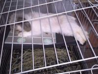 はぁ…。 2012/03/09 00:18:51