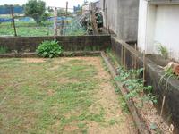 黙認耕作地（自称） 2012/04/16 10:28:56