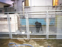 犬小屋作り
