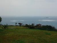 旧正月風景(南城市） 2012/01/23 09:16:47