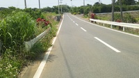 ちょっと反省日記。 2012/05/14 09:49:46