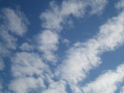 青空の下・・・