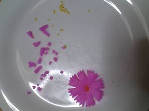 恒例のお弁当作りで、夫婦も子どももHAPPY♪♪