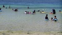 ご無沙汰日記！夏到来～＆私の悪い癖。。。 2012/07/04 12:49:52