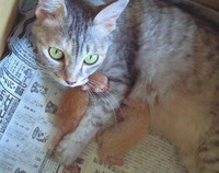 また来ちゃった～・・・(~_~;) 2008/09/16 21:37:34
