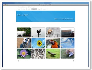 Gallery更新